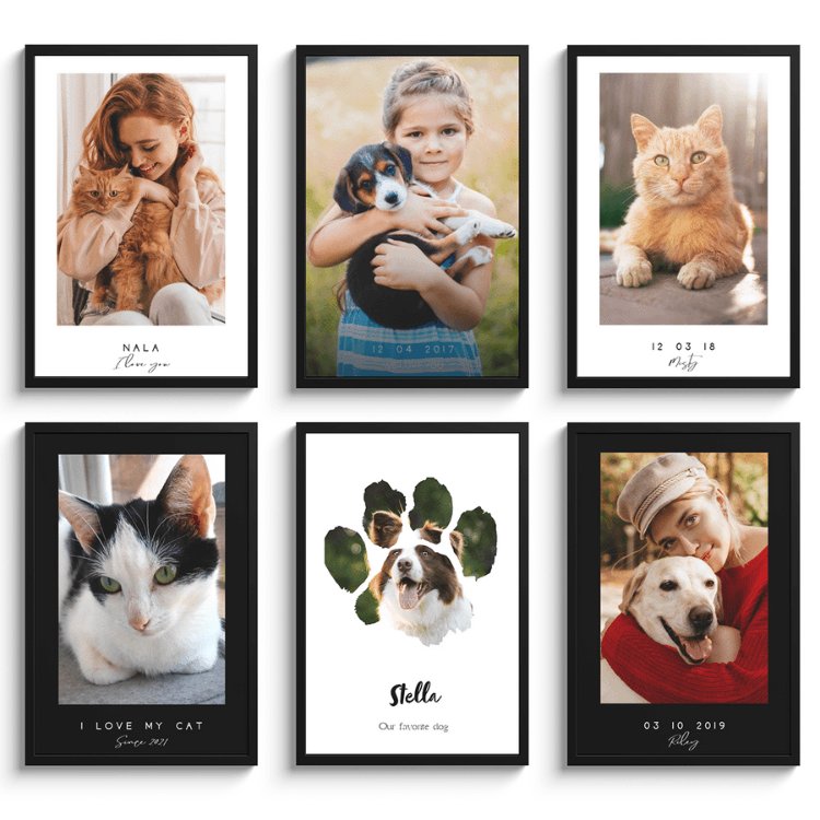 Poster honden en katten