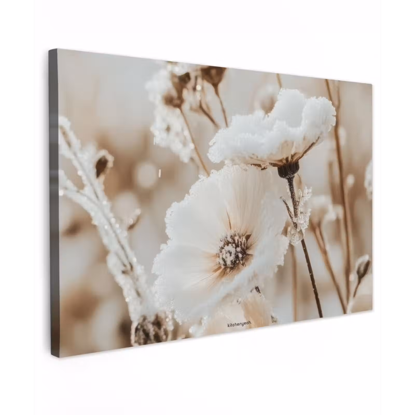 Canvas schilderij - Bloemen - Beige - Winter — 1