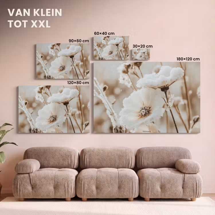 Canvas schilderij - Bloemen - Beige - Winter — 8