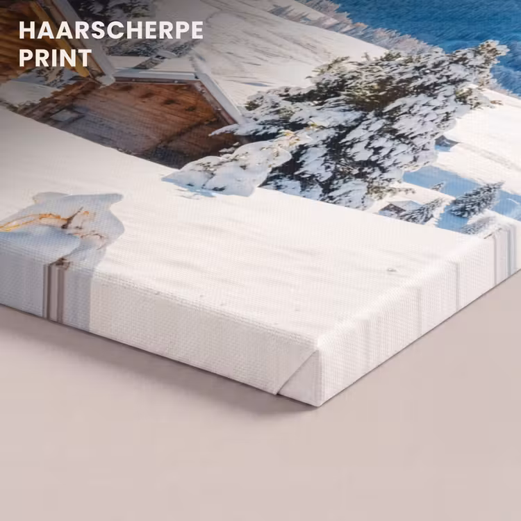 Canvas schilderij - Landschap - Winter - Sneeuw — 5
