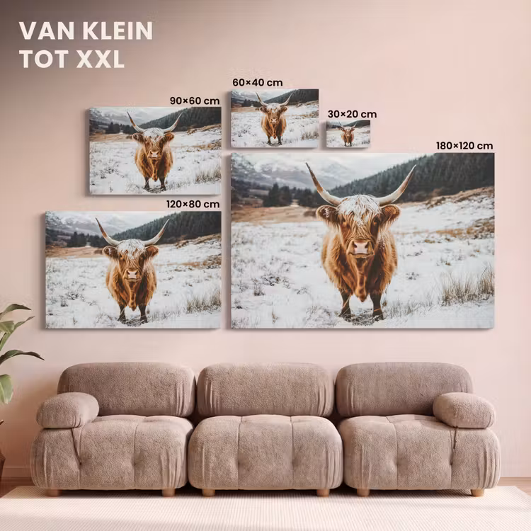 Canvas schilderij - Schotse Hooglander - Sneeuw - Winter - Dieren — 8